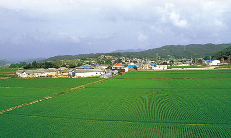 10새울 (최창조)